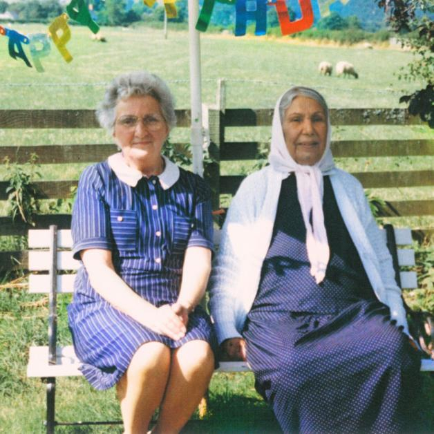 Dauwd - Theory of Colours