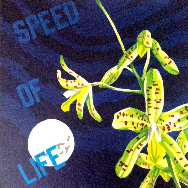 K15 - Speed Of Life : 2x12inch