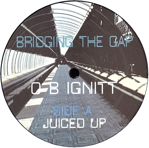 Ob Ignitt - Bridging The Gap : 12inch