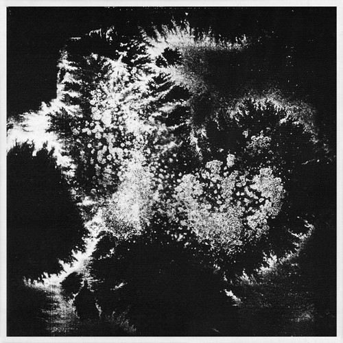 VERA DVALE & PSYKOVARIUS - UDU