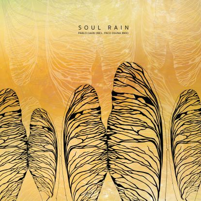 Pablo Cahn - Soul Rain (Paco Osuna Remix) : 12inch