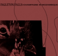 Ingleton Falls - CHAMPAGNE IN MOZAMBIQUE