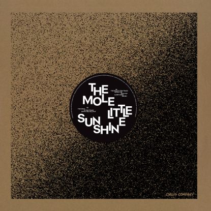 The Mole - Little Sunshine EP (Aardvarck Remix) : 12inch