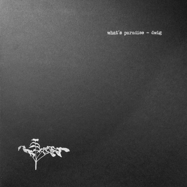 Artist: DWIG : Newtone Records