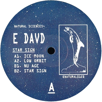 E Davd - Star Sign : 12inch