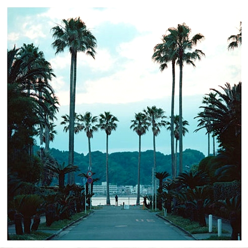 Submerse - Are you Anywhere : CD