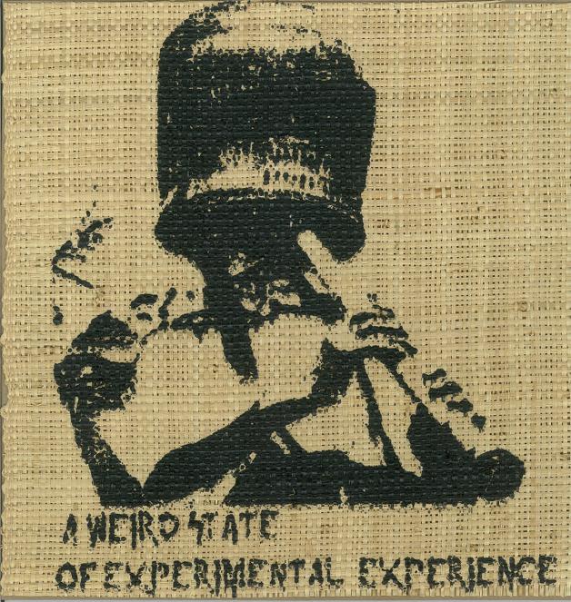Various Artists - A Weird State Of Experimental Experience : 12inch