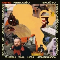 Nsrd - The Workshop For The Restoration Of Unfelt Feelings : LP