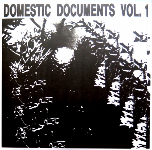 Various Artists - Domestic Documents vol.1 : 2LP