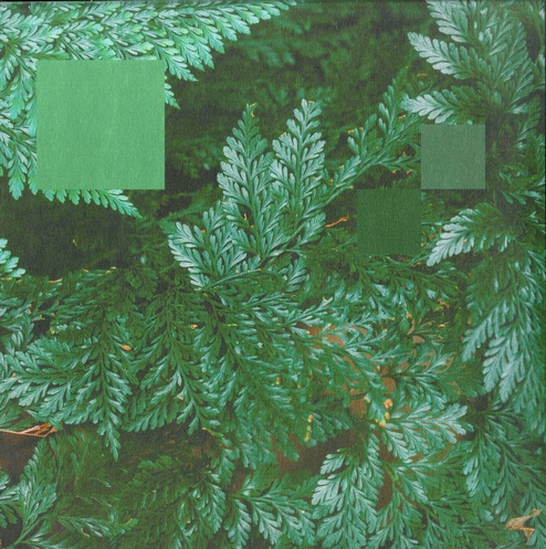 Nebraska - Metaphor to the Floor EP