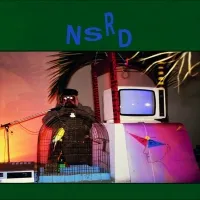 Nsrd - S/T : 12inch