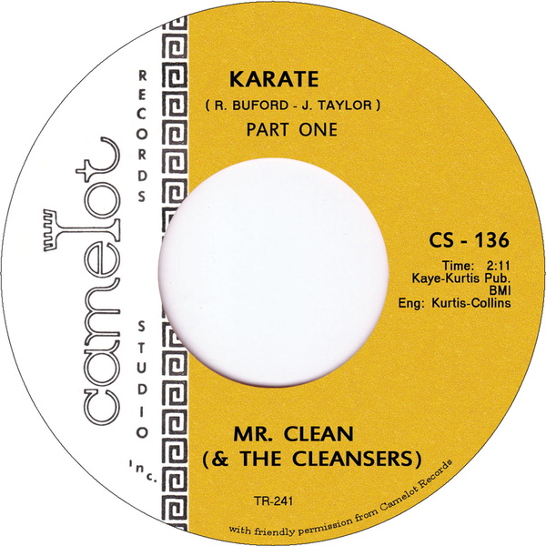 Mr. Clean And The Cleansers - Karate : 7inch