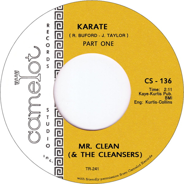 Mr. Clean And The Cleansers - Karate
