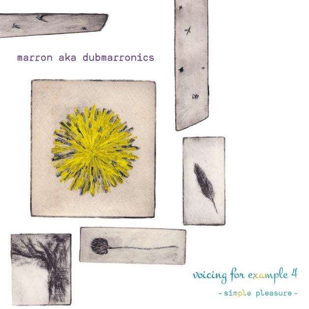 Marron Aka Dubmarronics - Voicing For Example 4 - Simple Pleasure - : CD