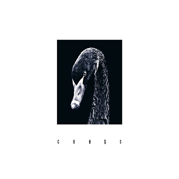 Coh - Cohgs