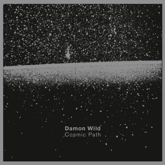 Damon Wild - Cosmic Path : 2LP
