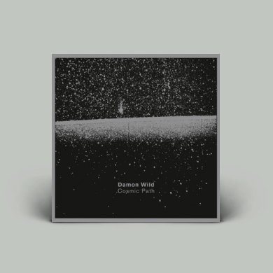 Artist: DAMON WILD : Newtone Records