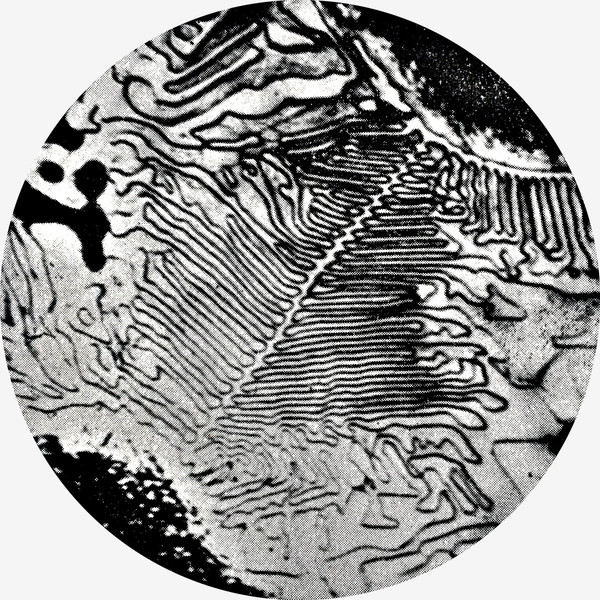 Axling - SHED : 12inch