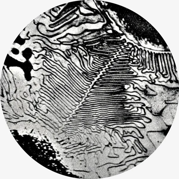 Axling - SHED : 12inch