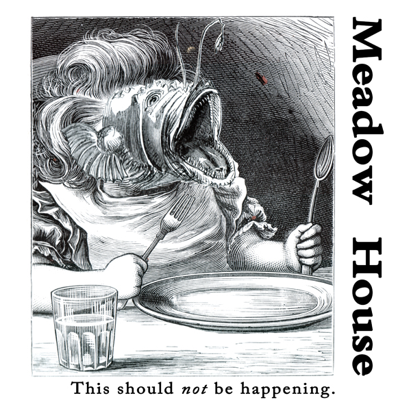 Meadow House - This Should Not Be Happening : LP