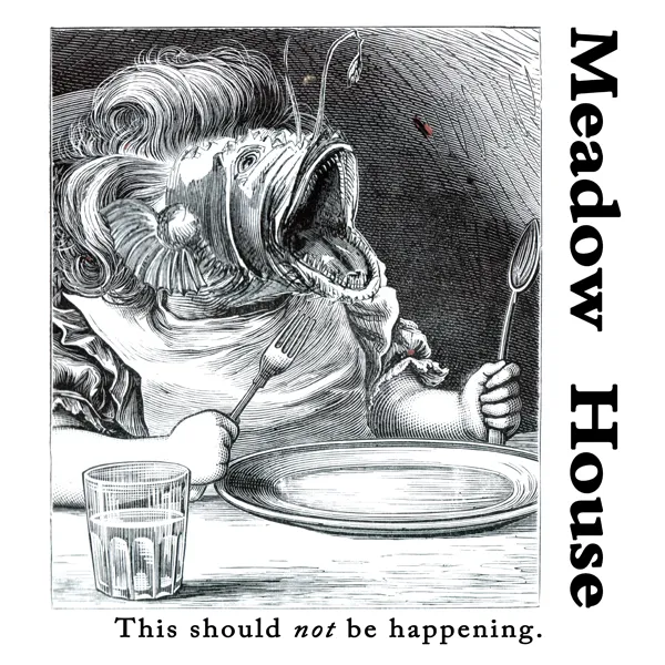 Meadow House - This Should Not Be Happening : LP