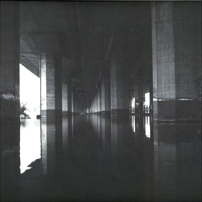 Vinalog - Progressive