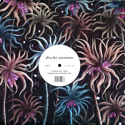 Mehmet Aslan - Alysha : 12inch