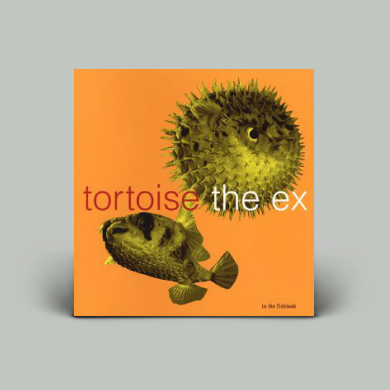 TORTOISE トータス Oval remix レコード 2025年最新】Tortoise レコードの人気アイテム - メルカリ