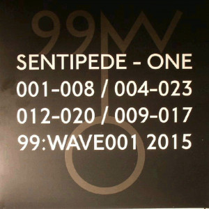 Sentipede - One : 2x12inch