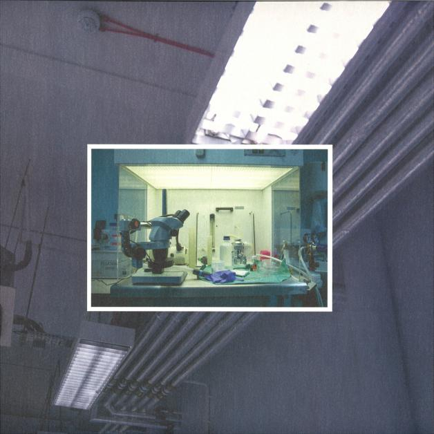 Metrist - Spoils Cat