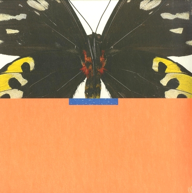 Jules Venturini - WHITIES 014