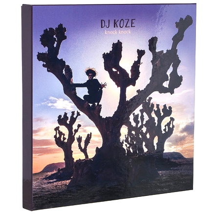 DJ Koze - Knock Knock (LTD. Box Set 3LP + CD + 7inch +10inch) : BOX