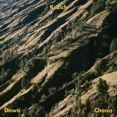 Kuzich - Dawn Chorus : LP
