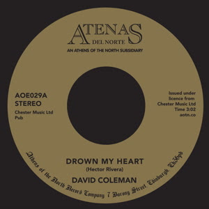 David Coleman - Drown My Heart : 7inch