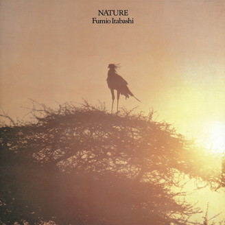 板橋文夫（fumio Itabashi） - ネイチャー（Nature） : LP