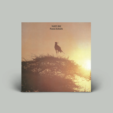 板橋文夫（fumio Itabashi） - ネイチャー（Nature） | NEWTONE RECORDS