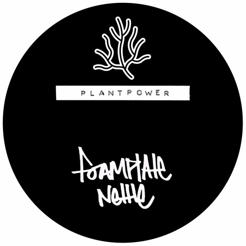 Foamplate - Nettle / Moose Fly : 12inch