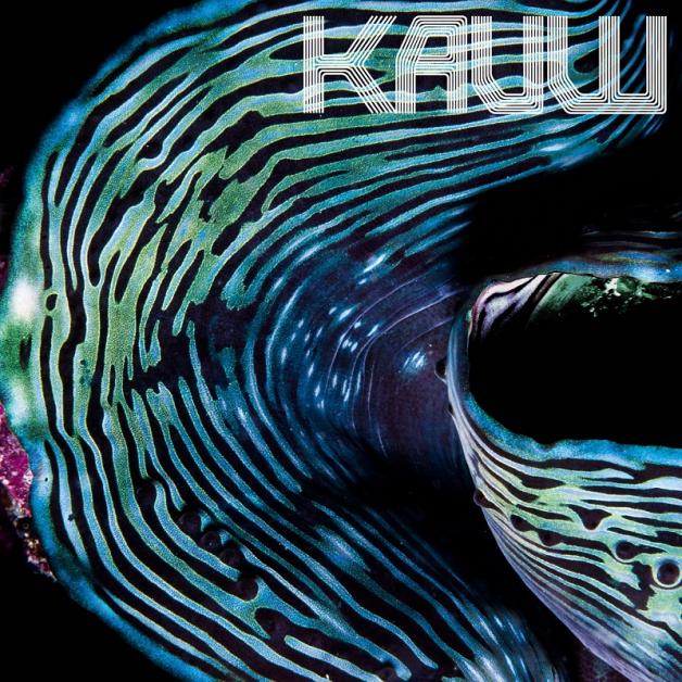 Kauw - Pitch / Nergens : 12inch