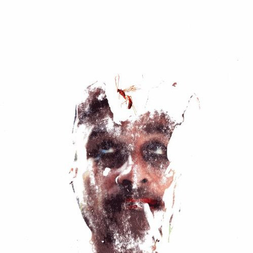 Syncboy - Aufnahme Koch EP