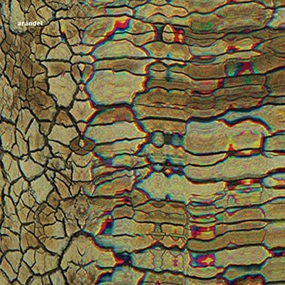 Arandel - Turbatrix : 12inch