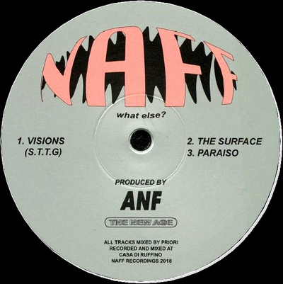 Anf - VISIONS : 12inch