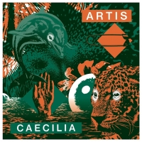 Artis - CAECILIA : 12inch