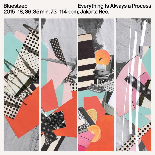 Bluestaeb - Everything Is Always A Process (LP+MP3) : LP＋DL