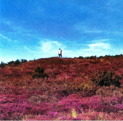 Dreamcast - Floral Place