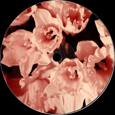 Physical Therapy - Buttercup : 12inch
