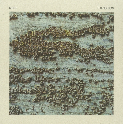 Neel - Transistion