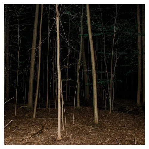 Express Rising - Fixed Rope II : LP