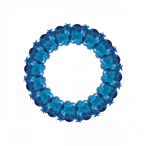 Liam Van Ryn - Serendipity : 12inch