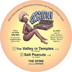 The Spins - The Valley Of Temples [official reissue] : 12inch