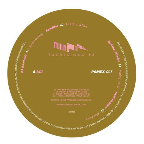 Va（dj Bowlcut / Sandile / Nubian Mindz / Half Nelson） - Excursions # 5